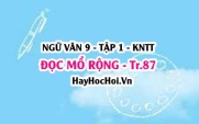 Soạn bài Đọc mở rộng trang 87 Ngữ văn lớp 9 tập 1 Kết nối tri thức